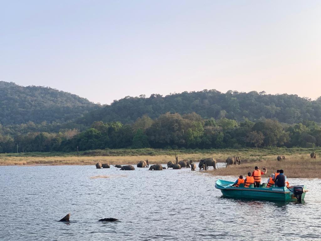 Gal Oya Lake View Inginiyagala Polwatta Экстерьер фото