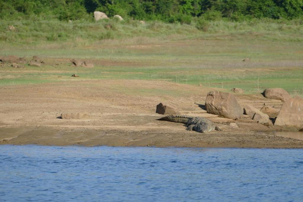 Gal Oya Lake View Inginiyagala Polwatta Экстерьер фото